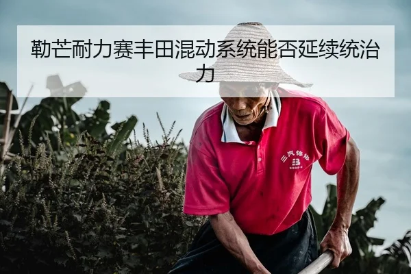 勒芒耐力赛丰田混动系统能否延续统治力