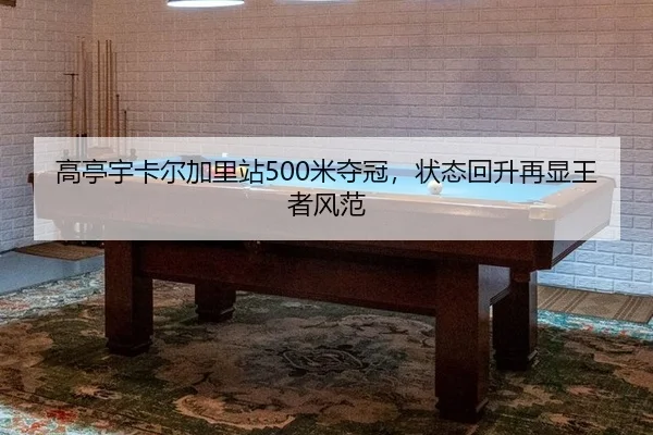 gao-ting-yu-ka-er-jia-li-zhan-mi-duo-guan-zhuang-tai-hui-sheng-zai-xian-wang-zhe-feng-fan-3-490.jpg